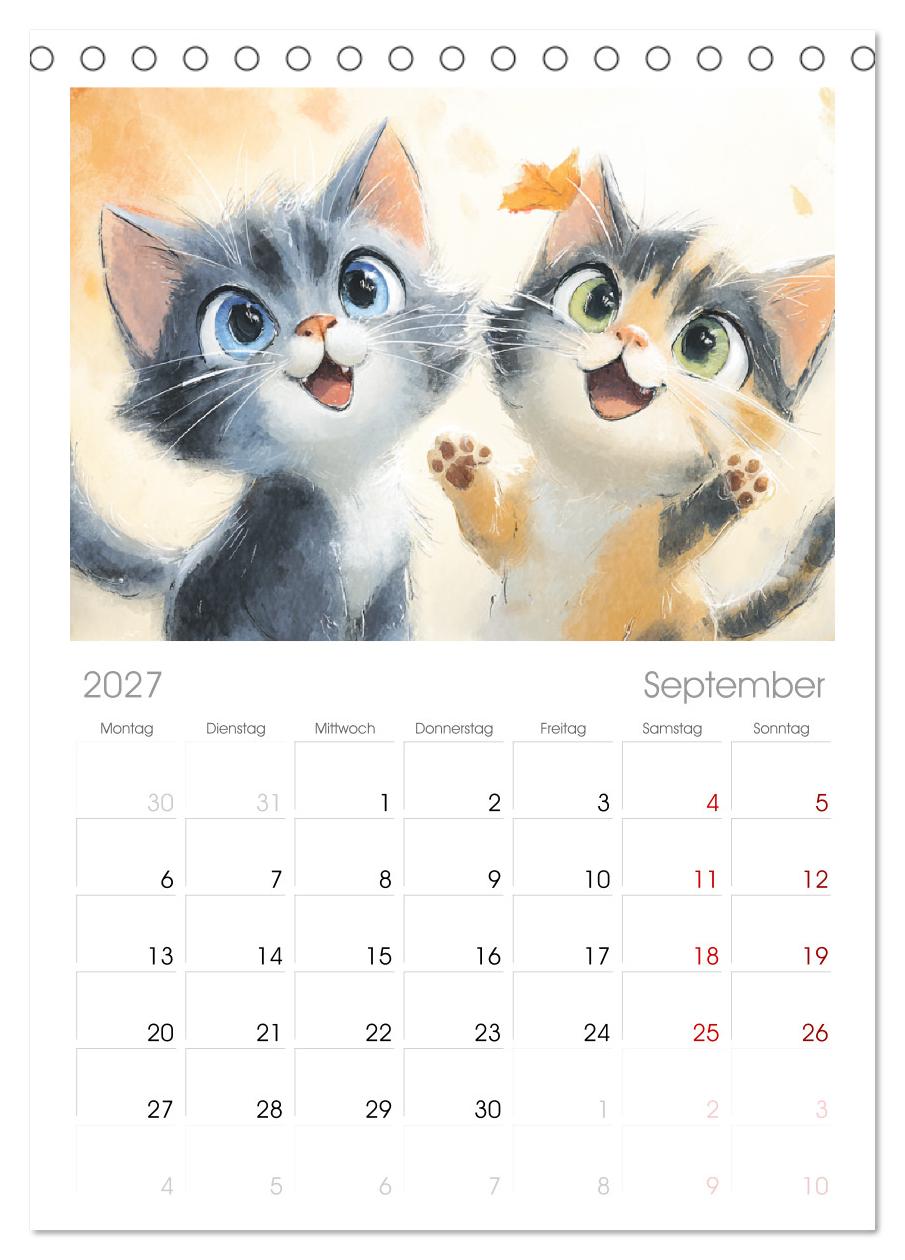 Pastellpfötchen. Liebliche Katzen in sanften Farben