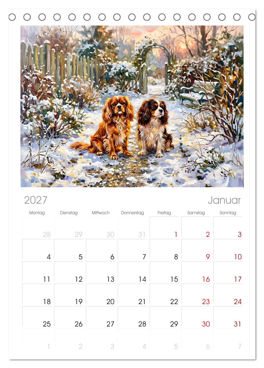 Cavalier King Charles Spaniel - Lieblingshund der Belle Époque