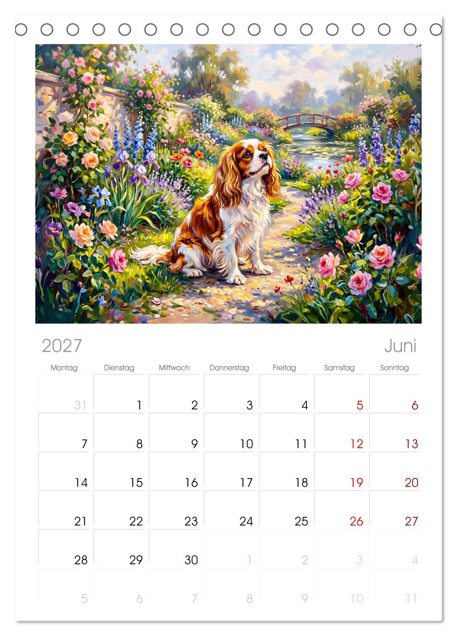 Cavalier King Charles Spaniel - Lieblingshund der Belle Époque