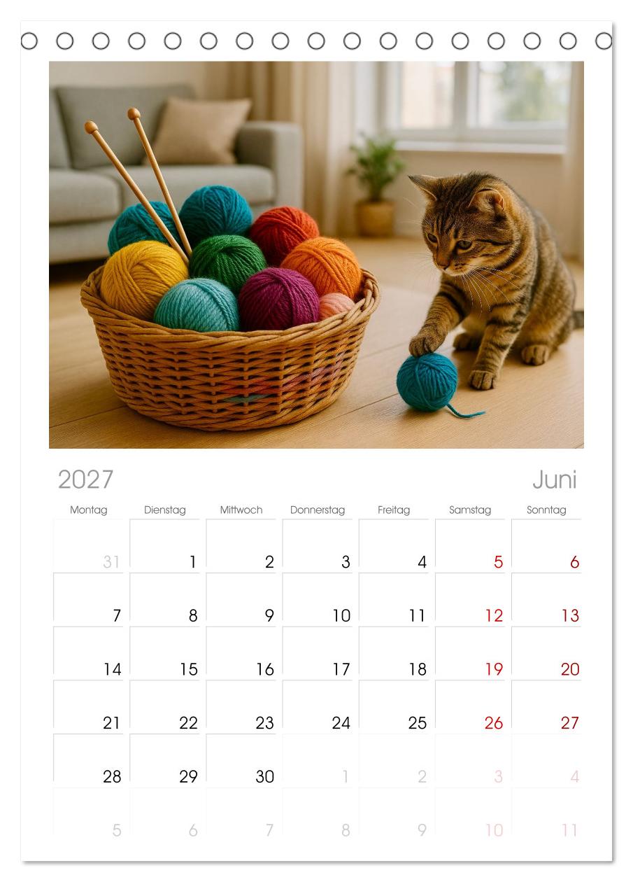 Stricken und Wolle