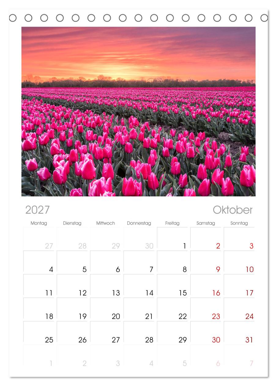 Im Zauber der Niederlande - Tulpenmeer und Windmühlen