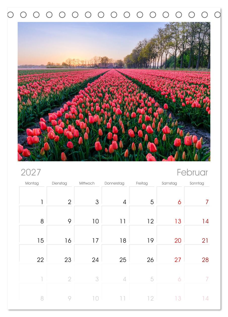 Im Zauber der Niederlande - Tulpenmeer und Windmühlen