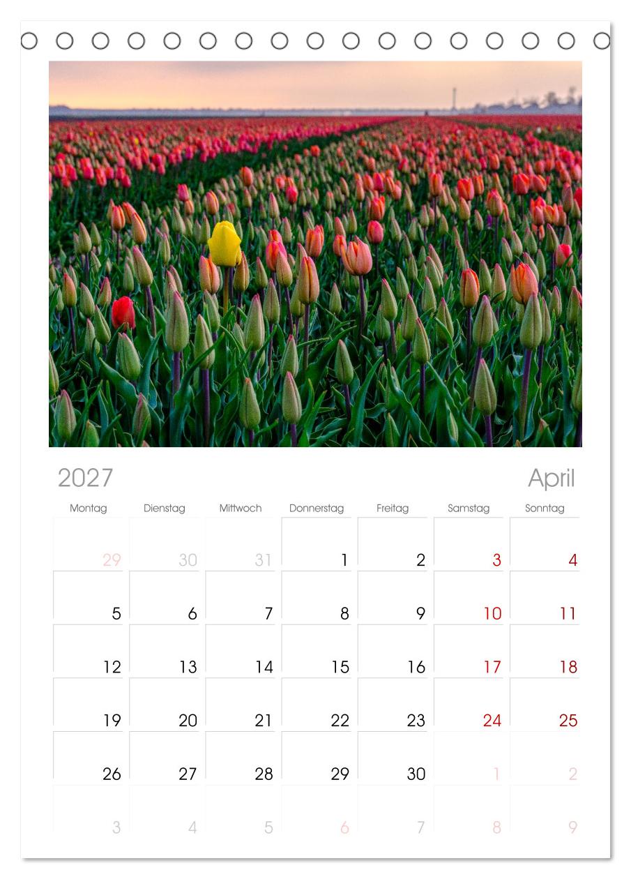 Im Zauber der Niederlande - Tulpenmeer und Windmühlen