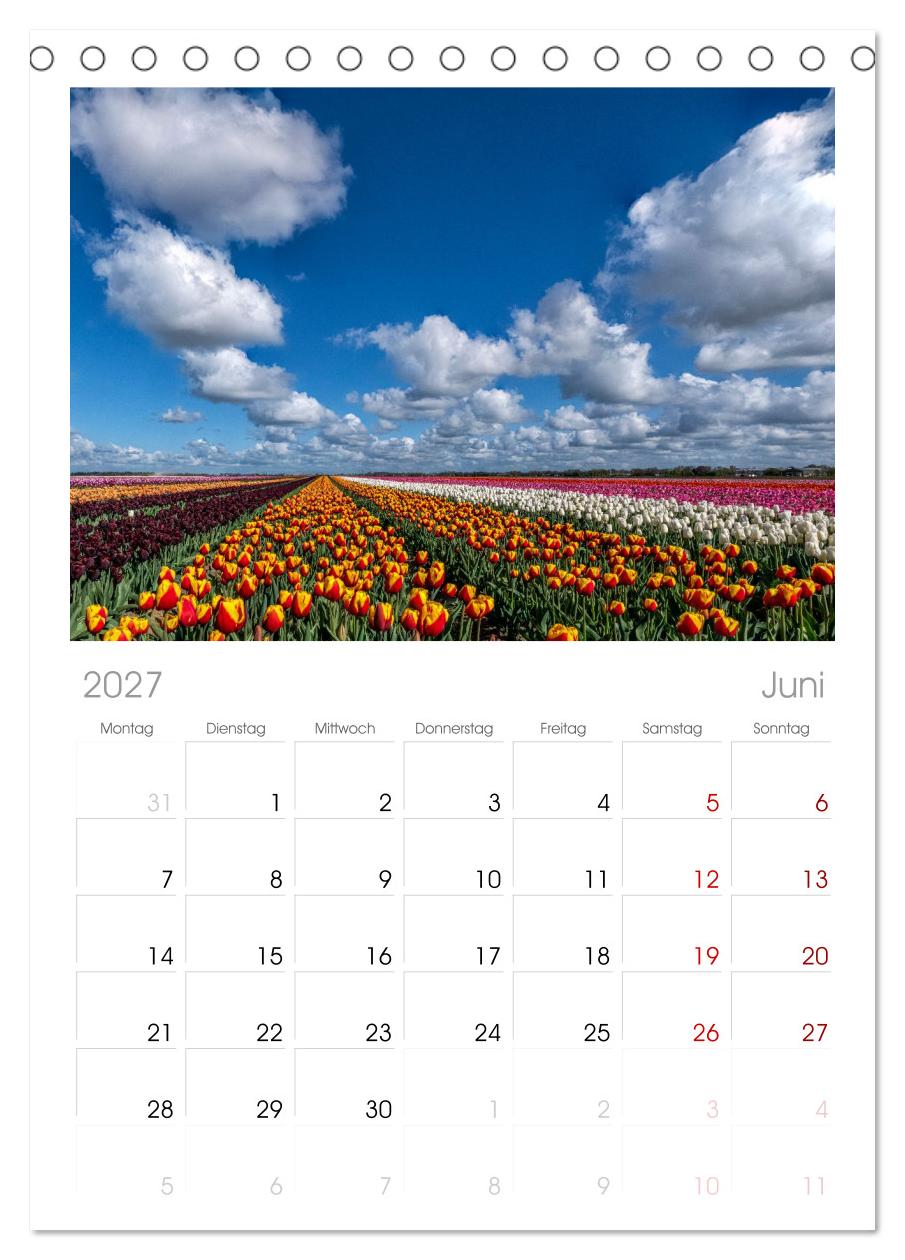 Im Zauber der Niederlande - Tulpenmeer und Windmühlen