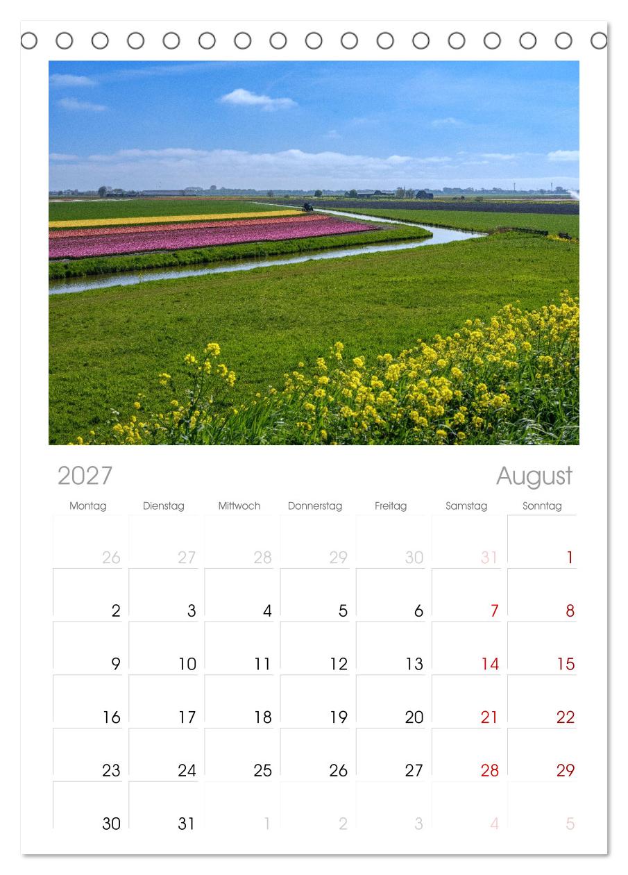 Im Zauber der Niederlande - Tulpenmeer und Windmühlen