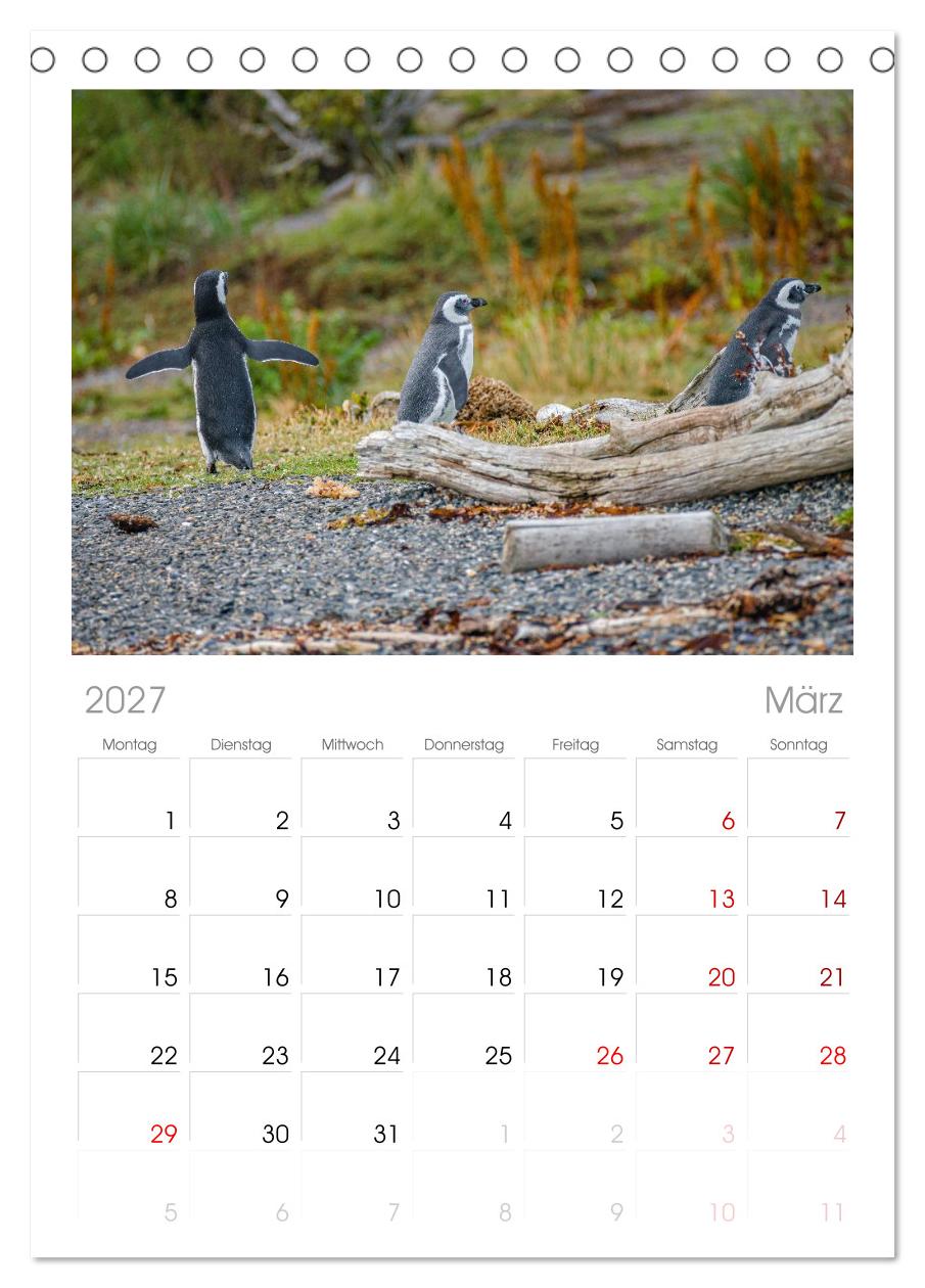 Patagonien, Tierra del Fuego: Am Rand der Welt
