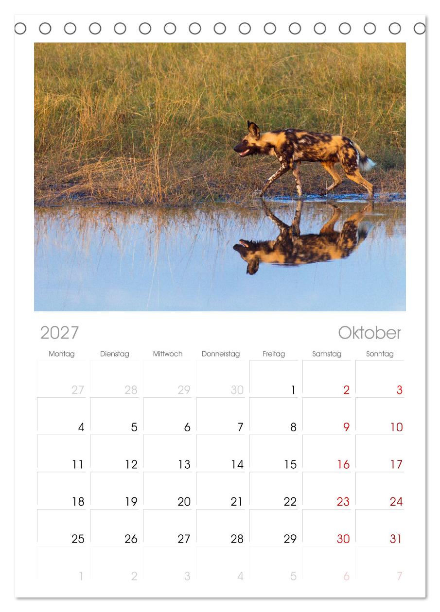 Afrika Wildlife-Fotografien