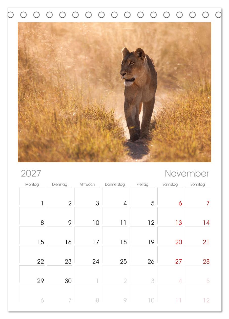 Afrika Wildlife-Fotografien