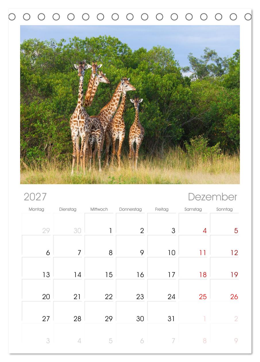 Afrika Wildlife-Fotografien