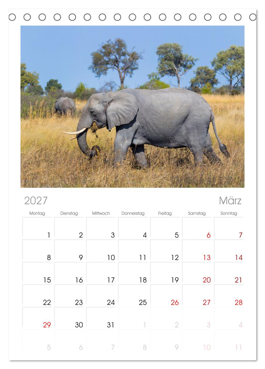 Afrika Wildlife-Fotografien