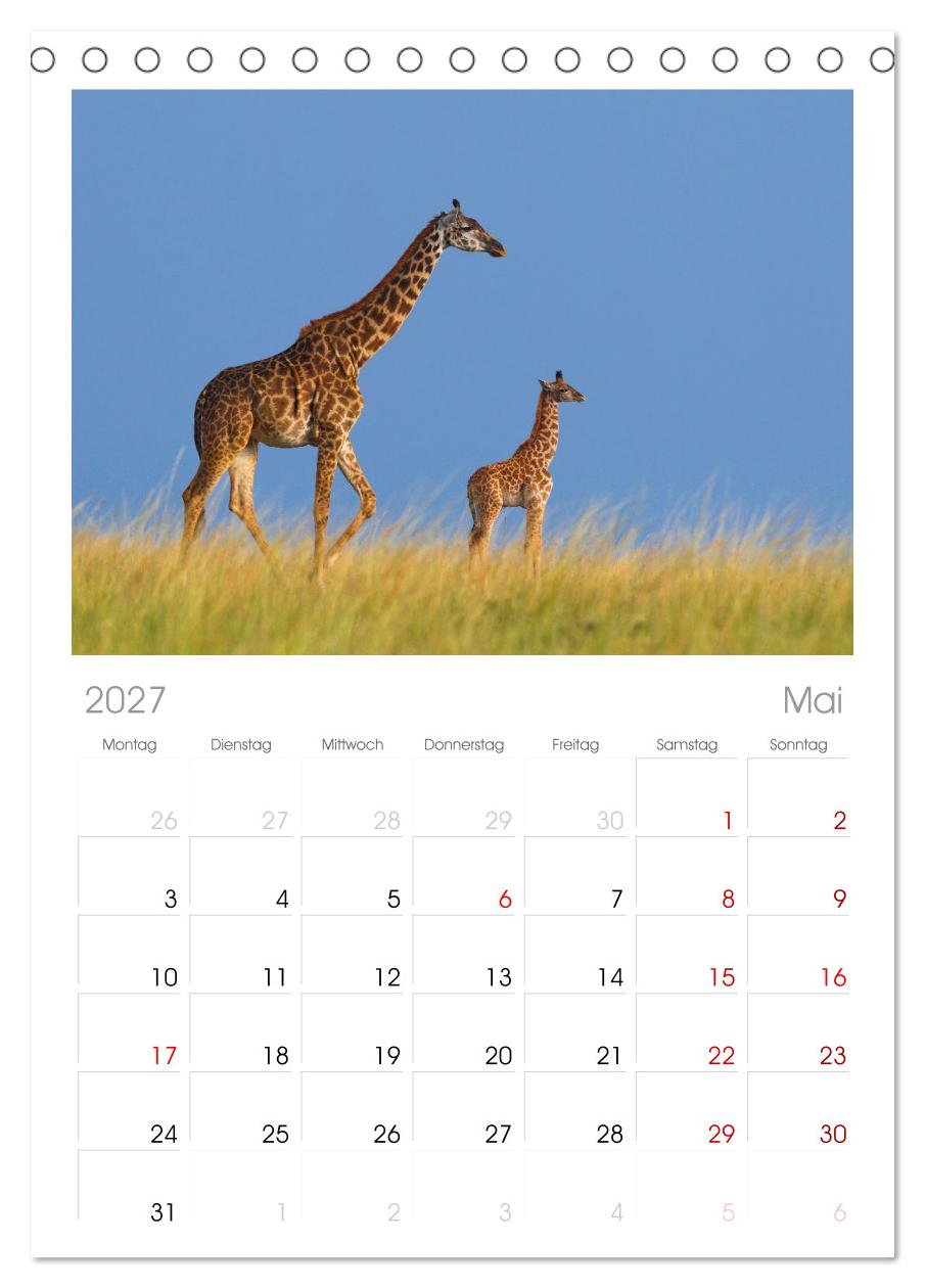 Afrika Wildlife-Fotografien