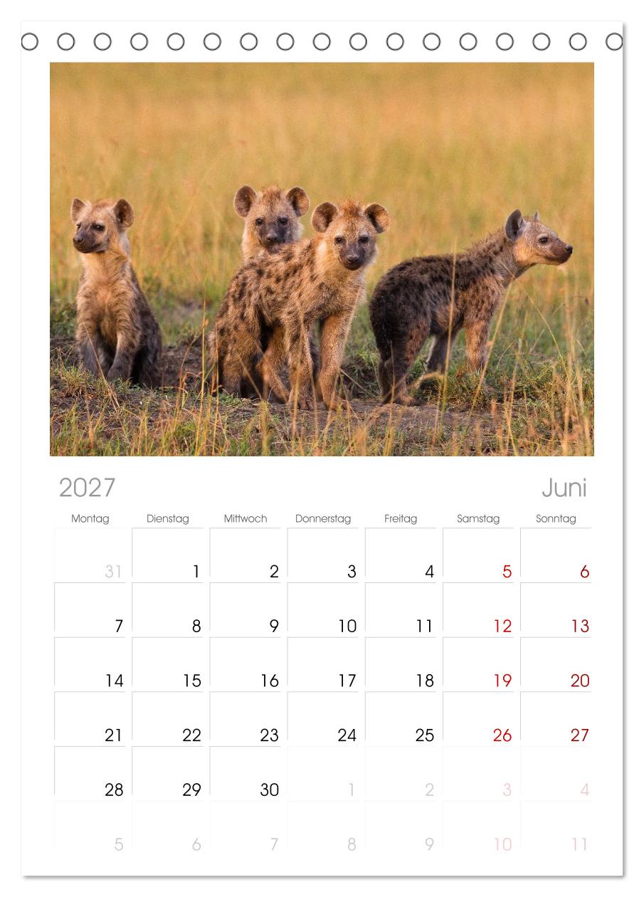 Afrika Wildlife-Fotografien
