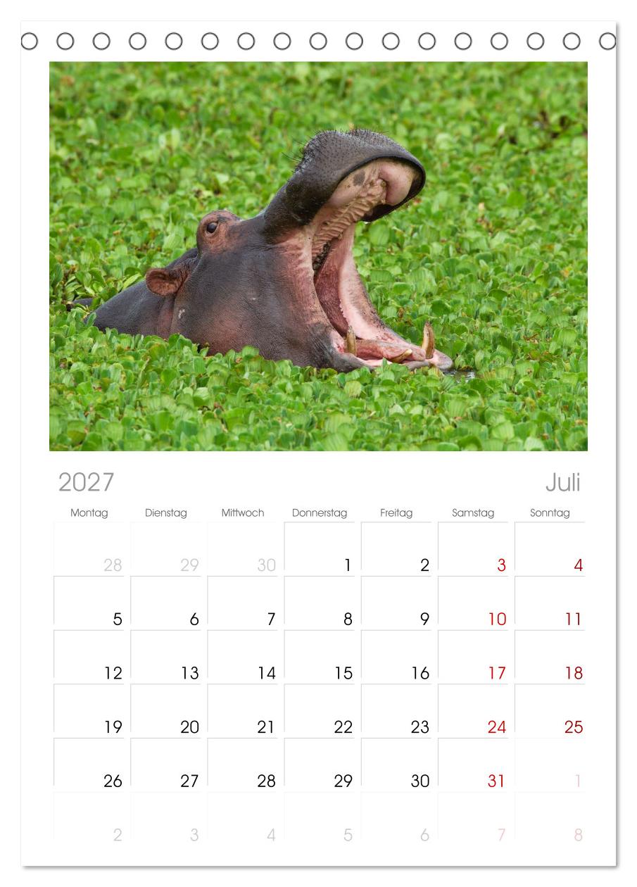 Afrika Wildlife-Fotografien