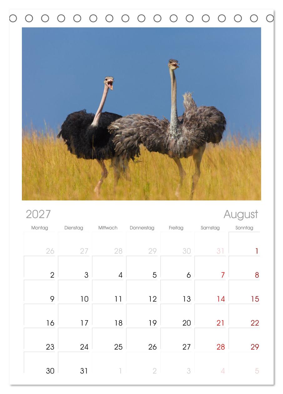 Afrika Wildlife-Fotografien