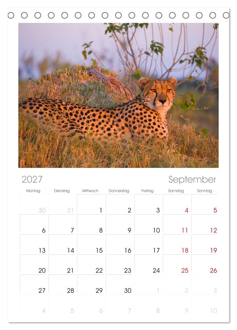 Afrika Wildlife-Fotografien