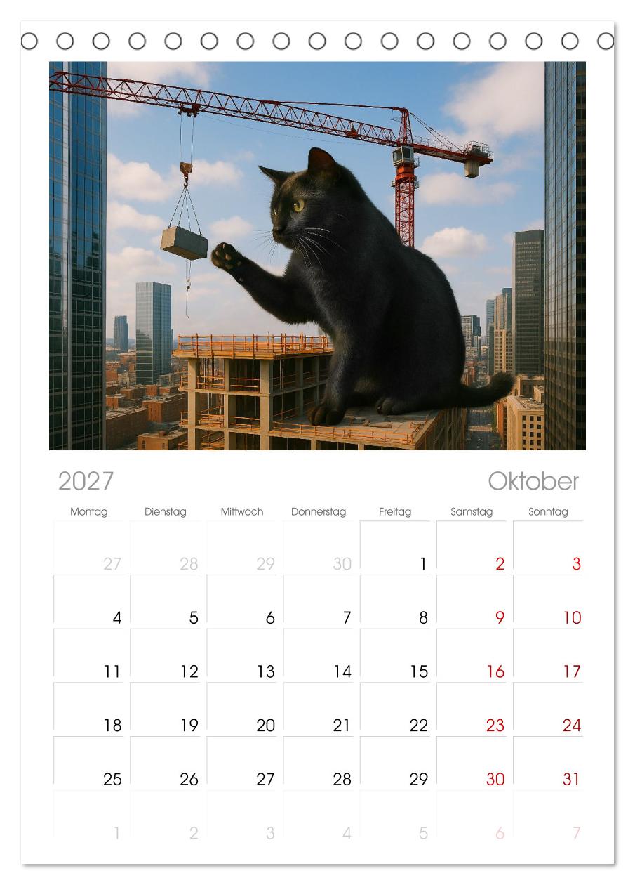 Katzen Weltherrschaft