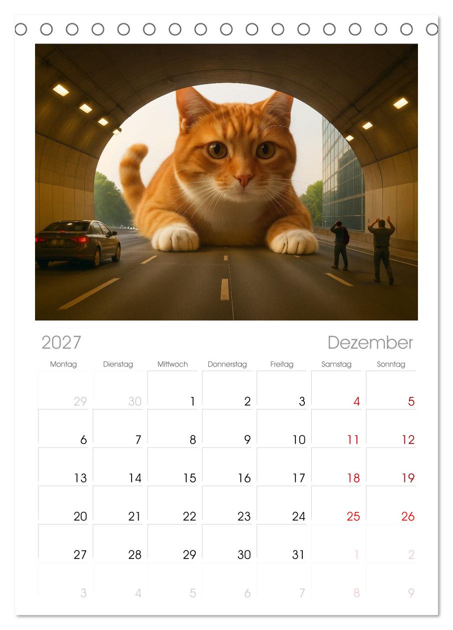 Katzen Weltherrschaft