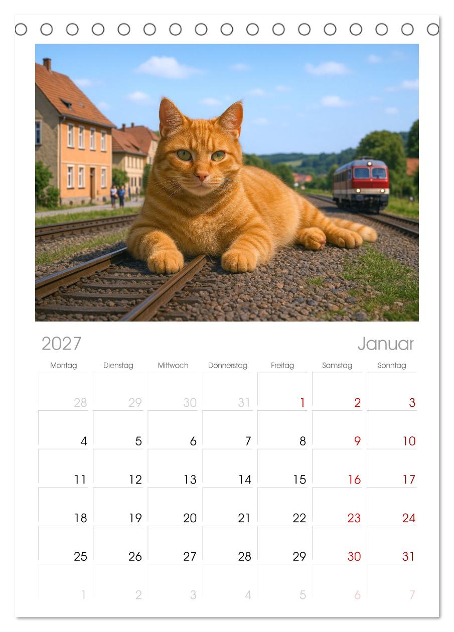 Katzen Weltherrschaft