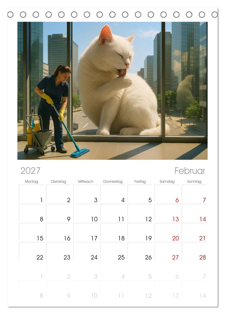 Katzen Weltherrschaft
