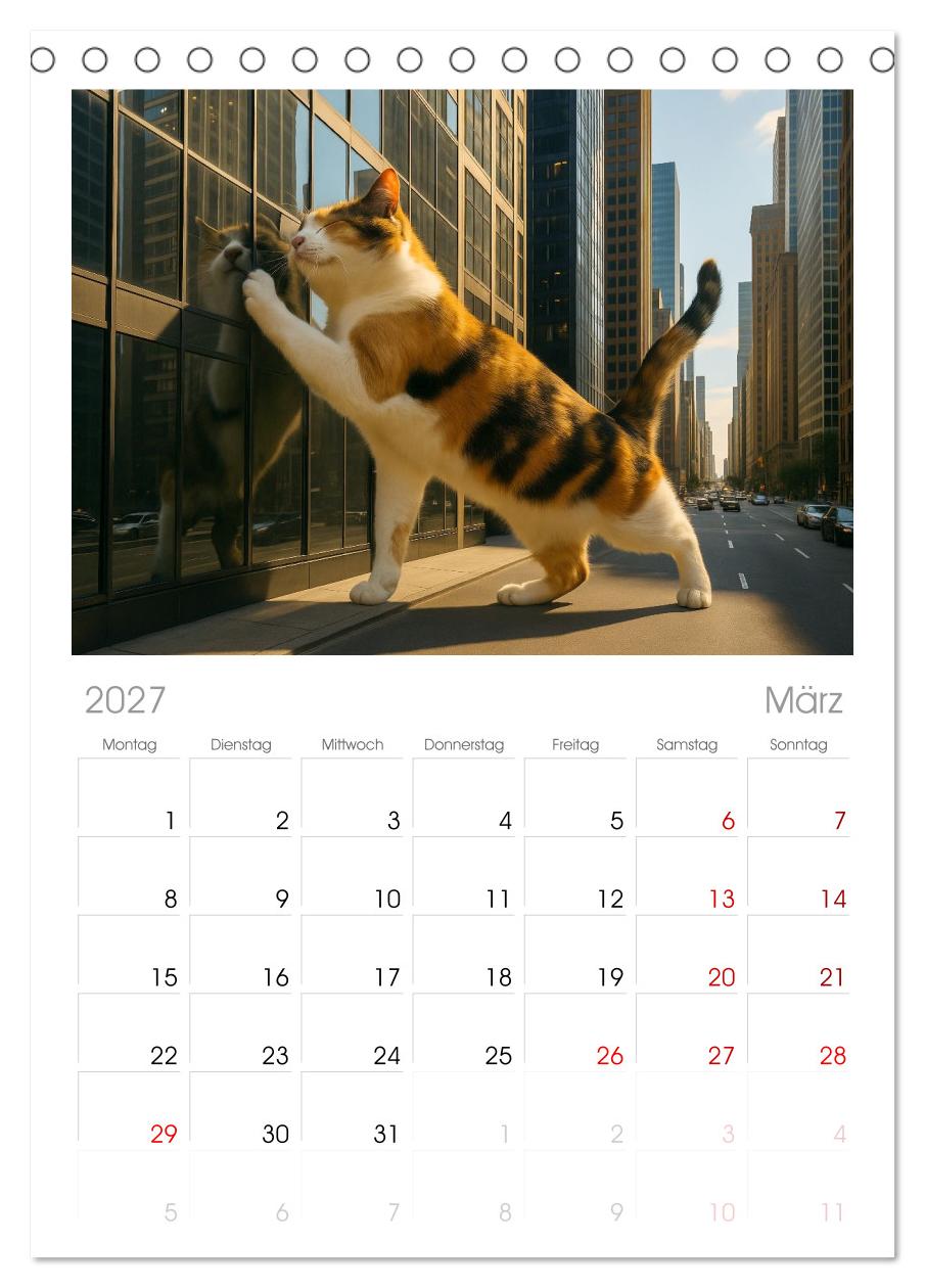 Katzen Weltherrschaft