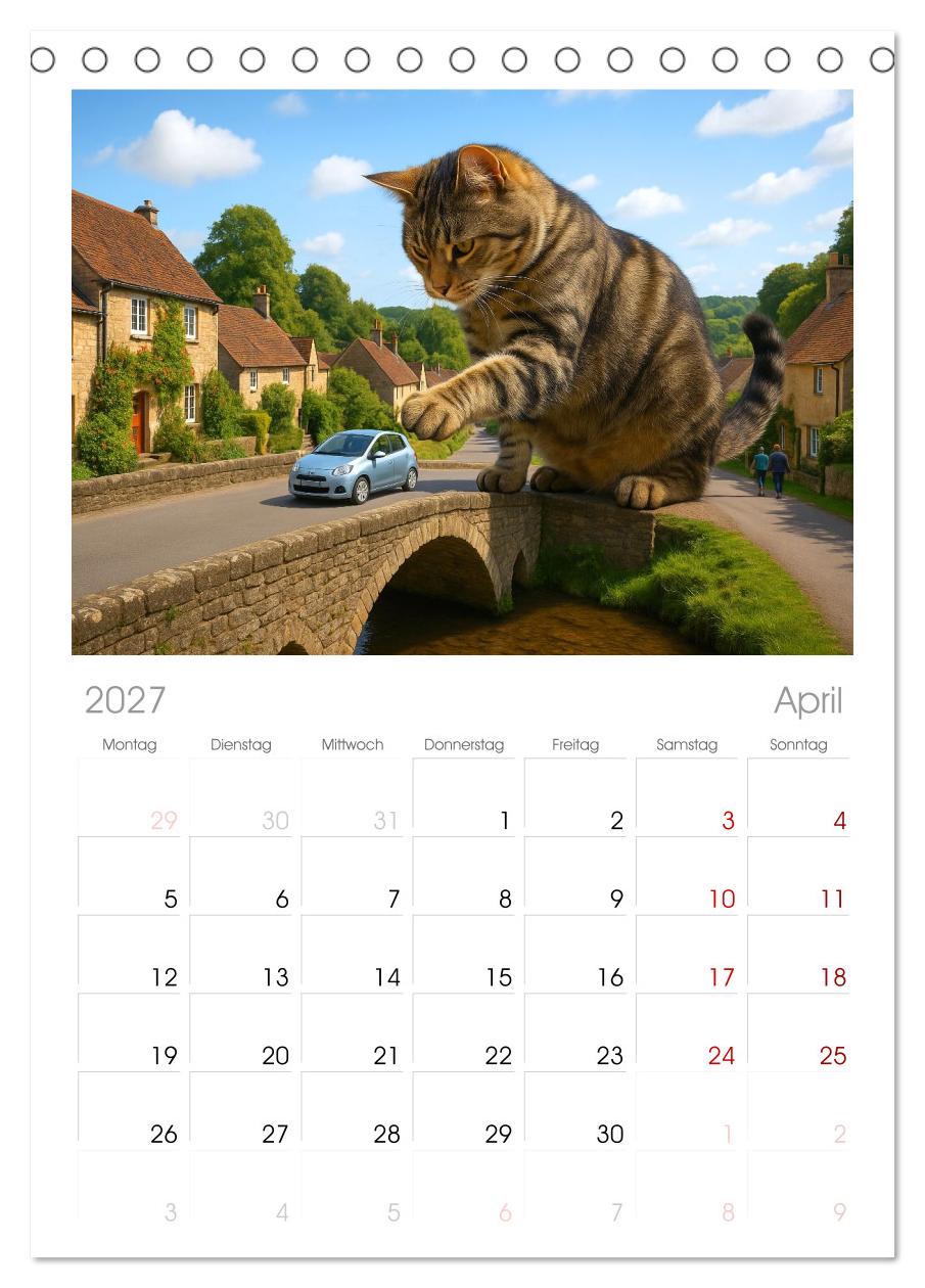 Katzen Weltherrschaft