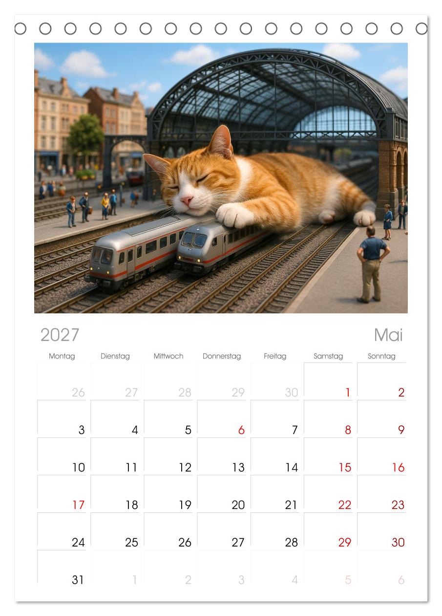 Katzen Weltherrschaft