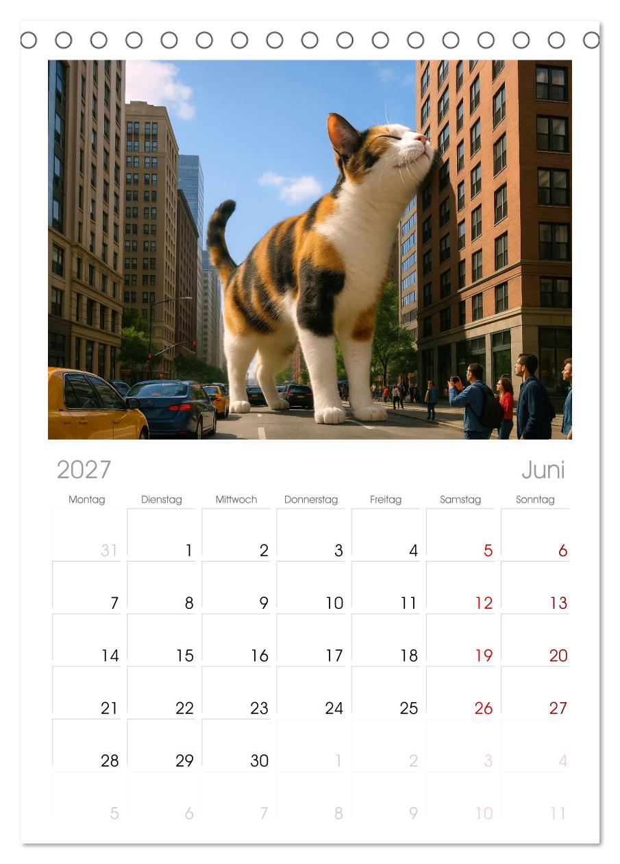Katzen Weltherrschaft