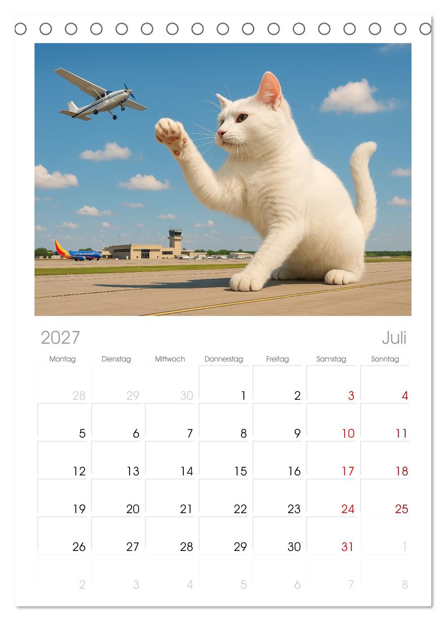 Katzen Weltherrschaft