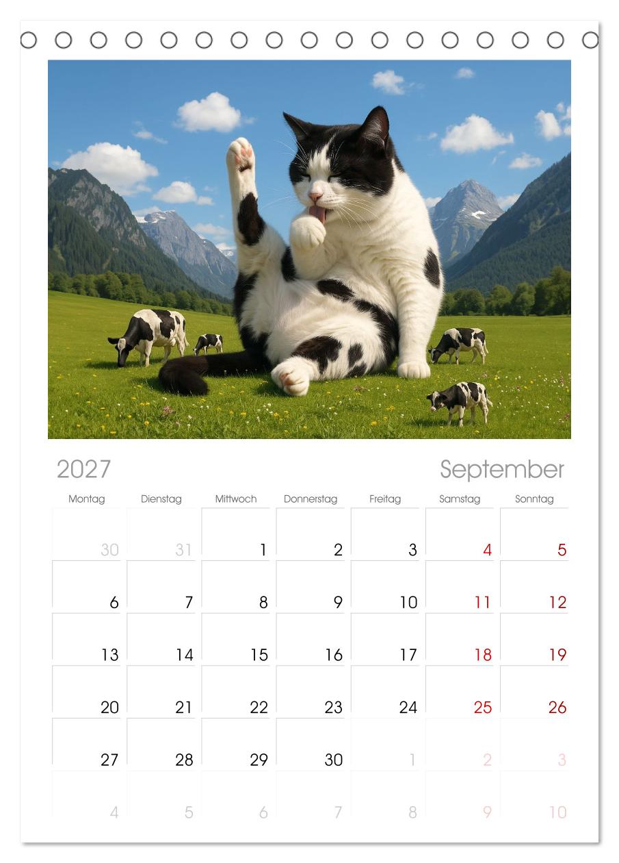 Katzen Weltherrschaft