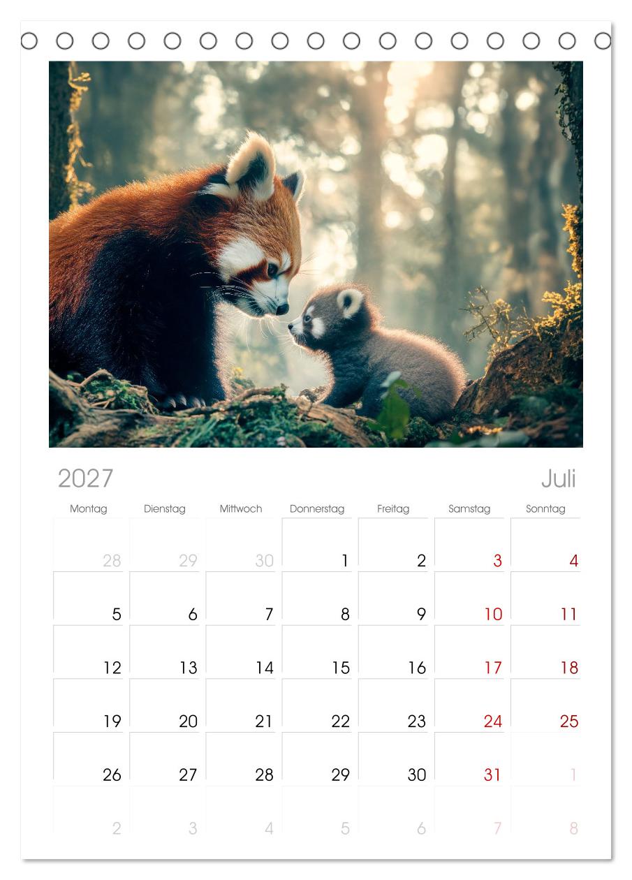 Rote Pandas - Himalayas sanfte Bewohner