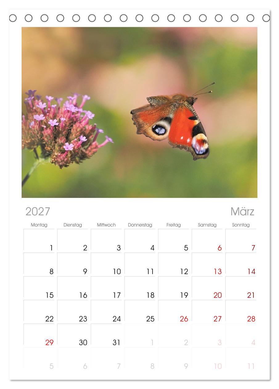 Fliegende Schmetterlinge