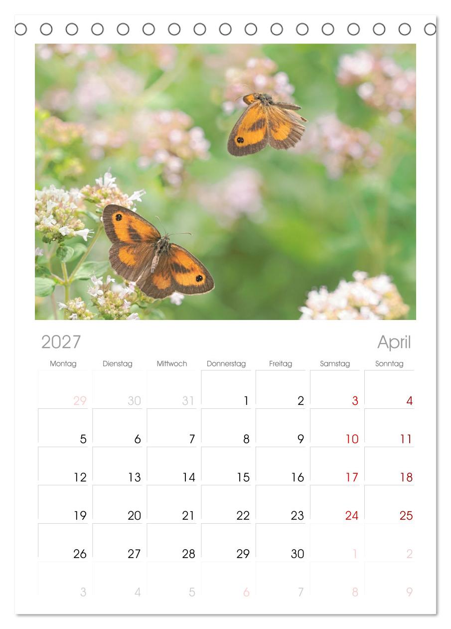 Fliegende Schmetterlinge