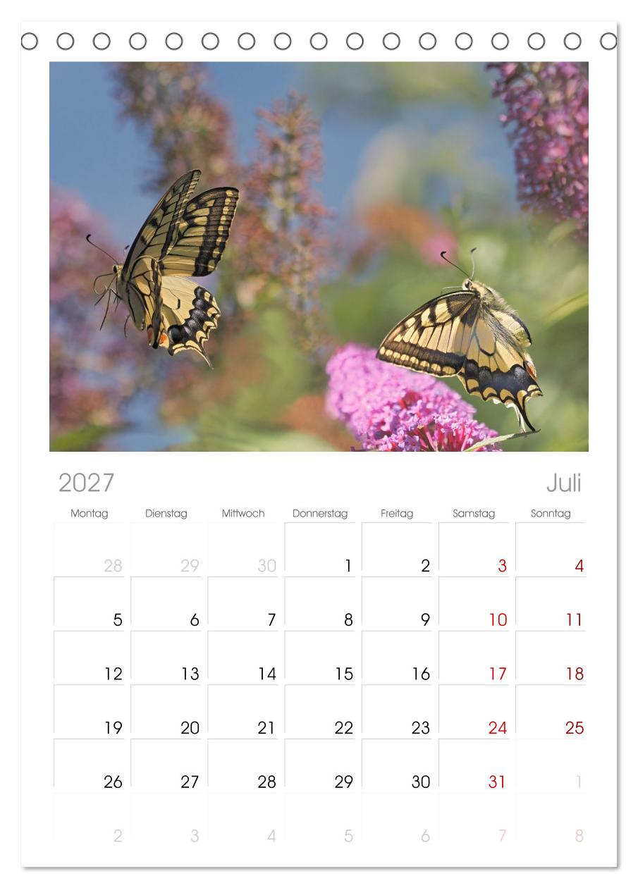 Fliegende Schmetterlinge
