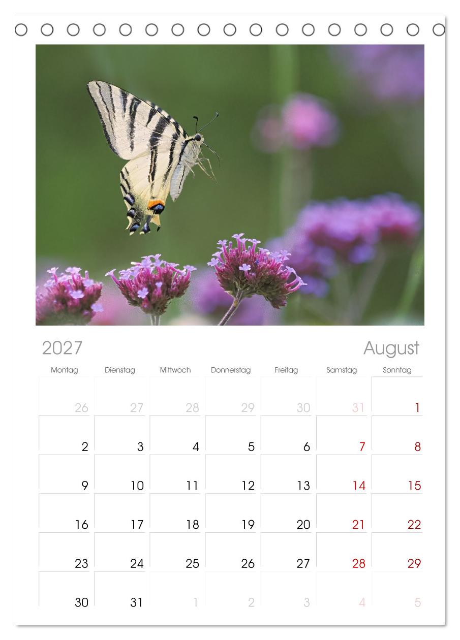 Fliegende Schmetterlinge