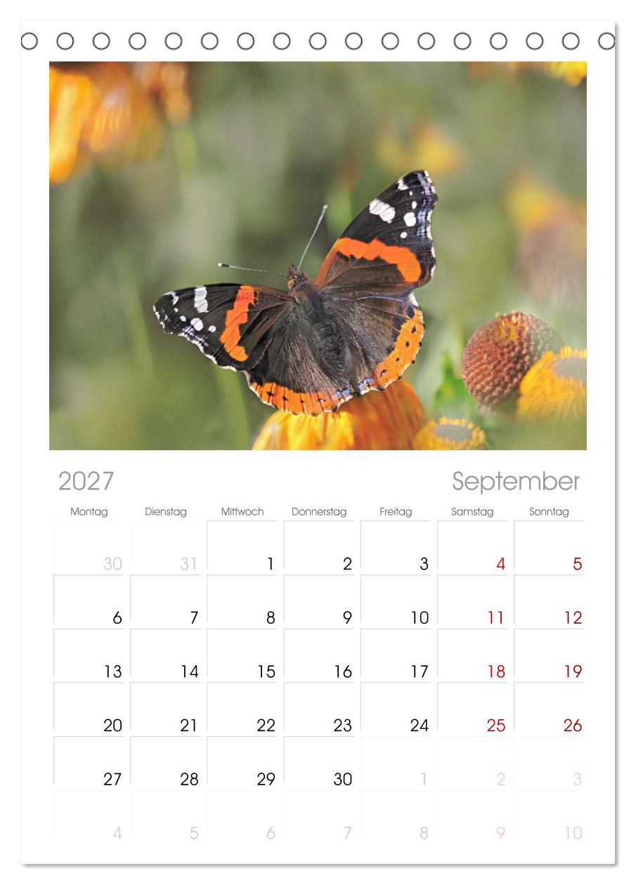 Fliegende Schmetterlinge