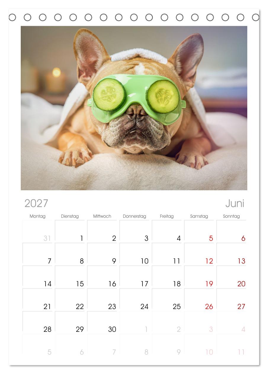 Süße Frenchies