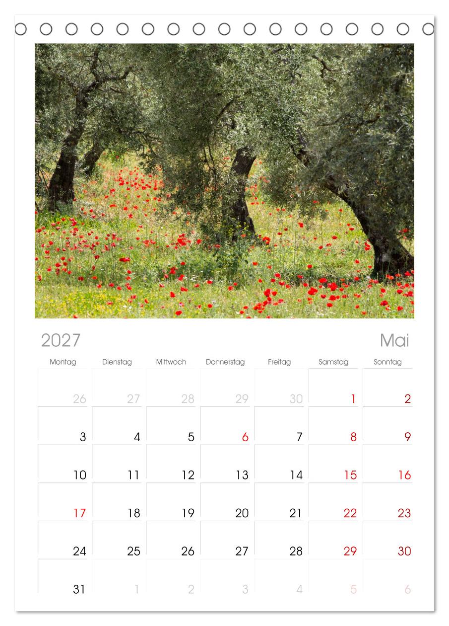 Momente einer Reise - Andalusien