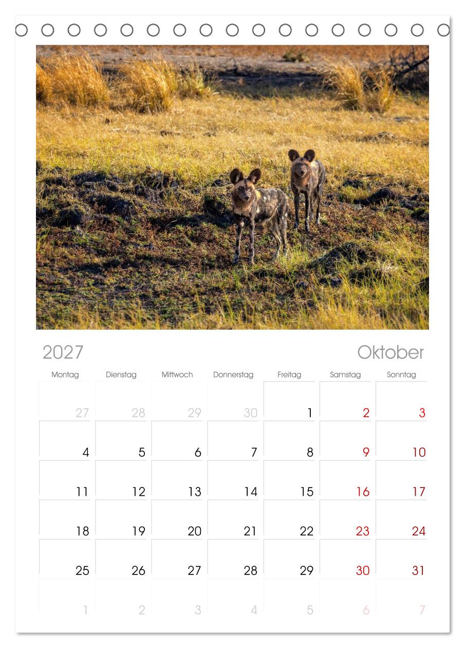 Sambias großartige Tierwelt