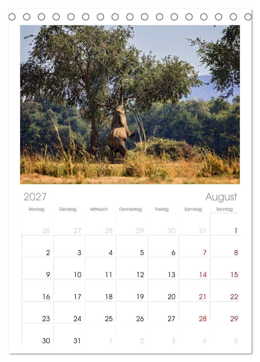 Sambias großartige Tierwelt