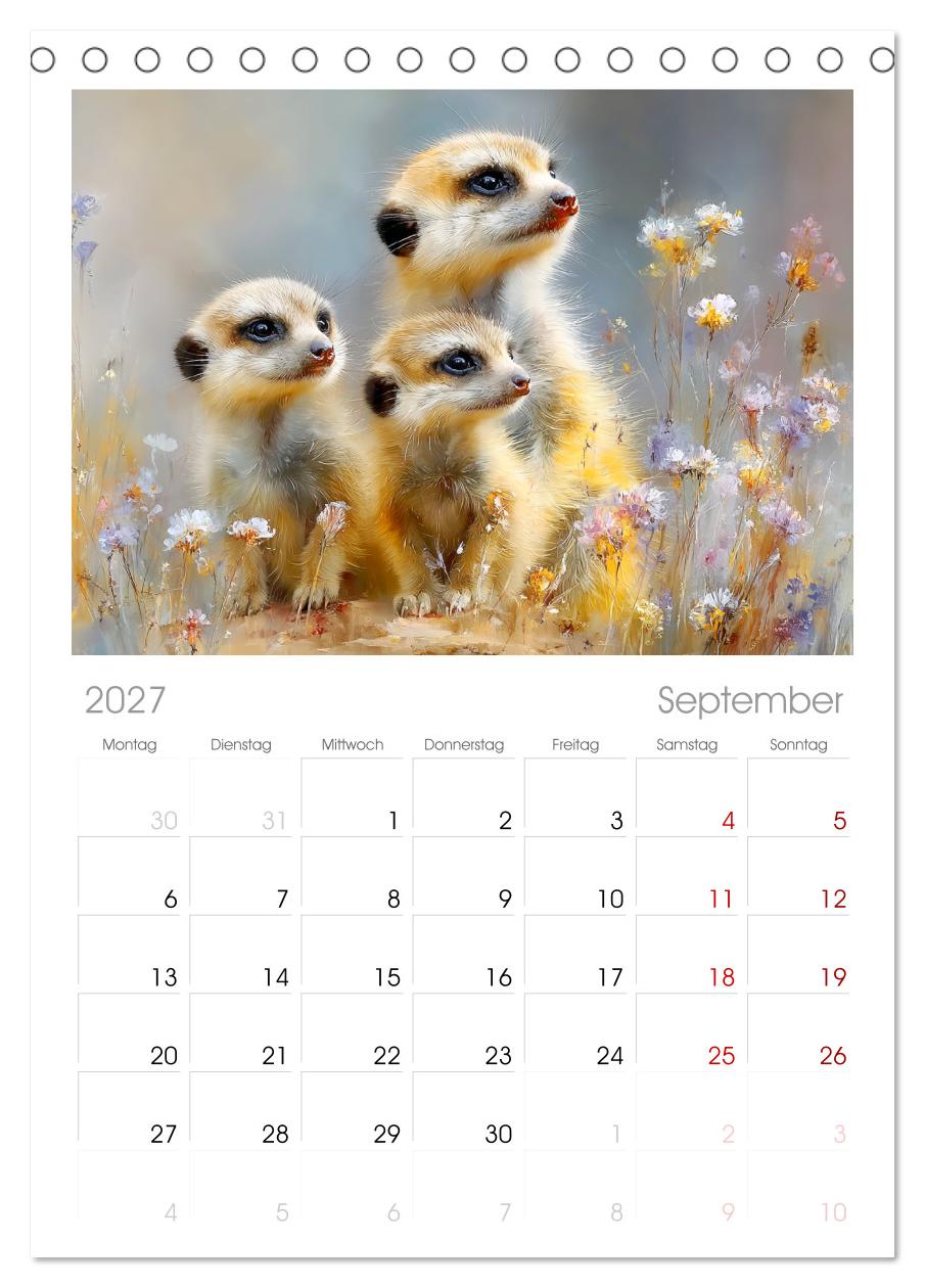 Erdmännchen. Kleine Helden der Savanne
