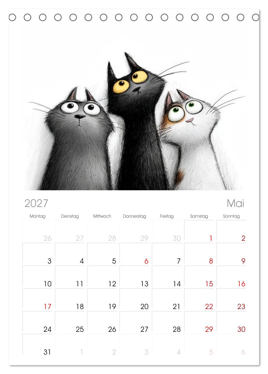 Gute Laune Katzen