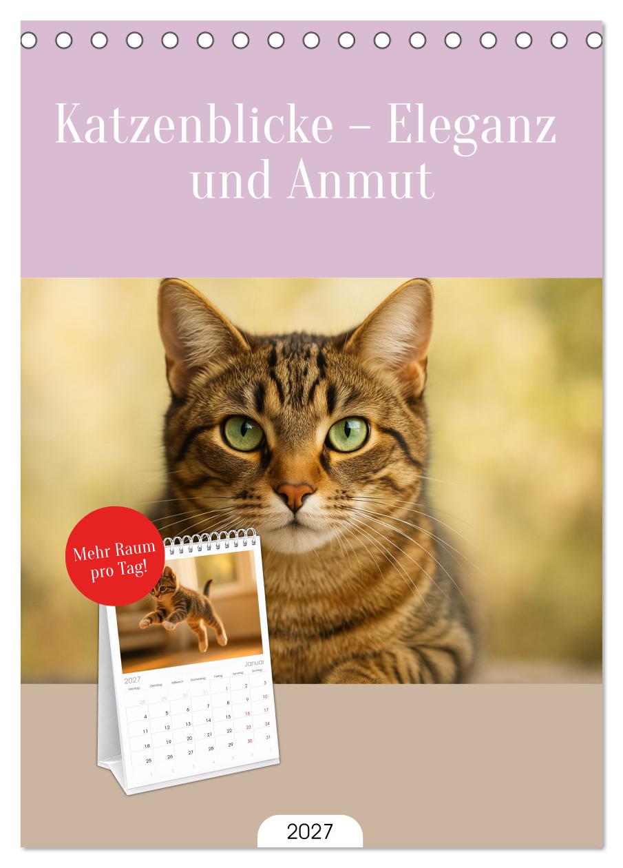 Katzenblicke – Eleganz und Anmut