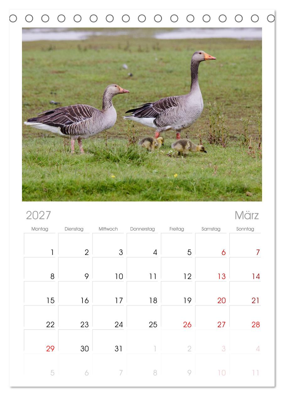 Halbinsel Eiderstedt - Momente der Natur