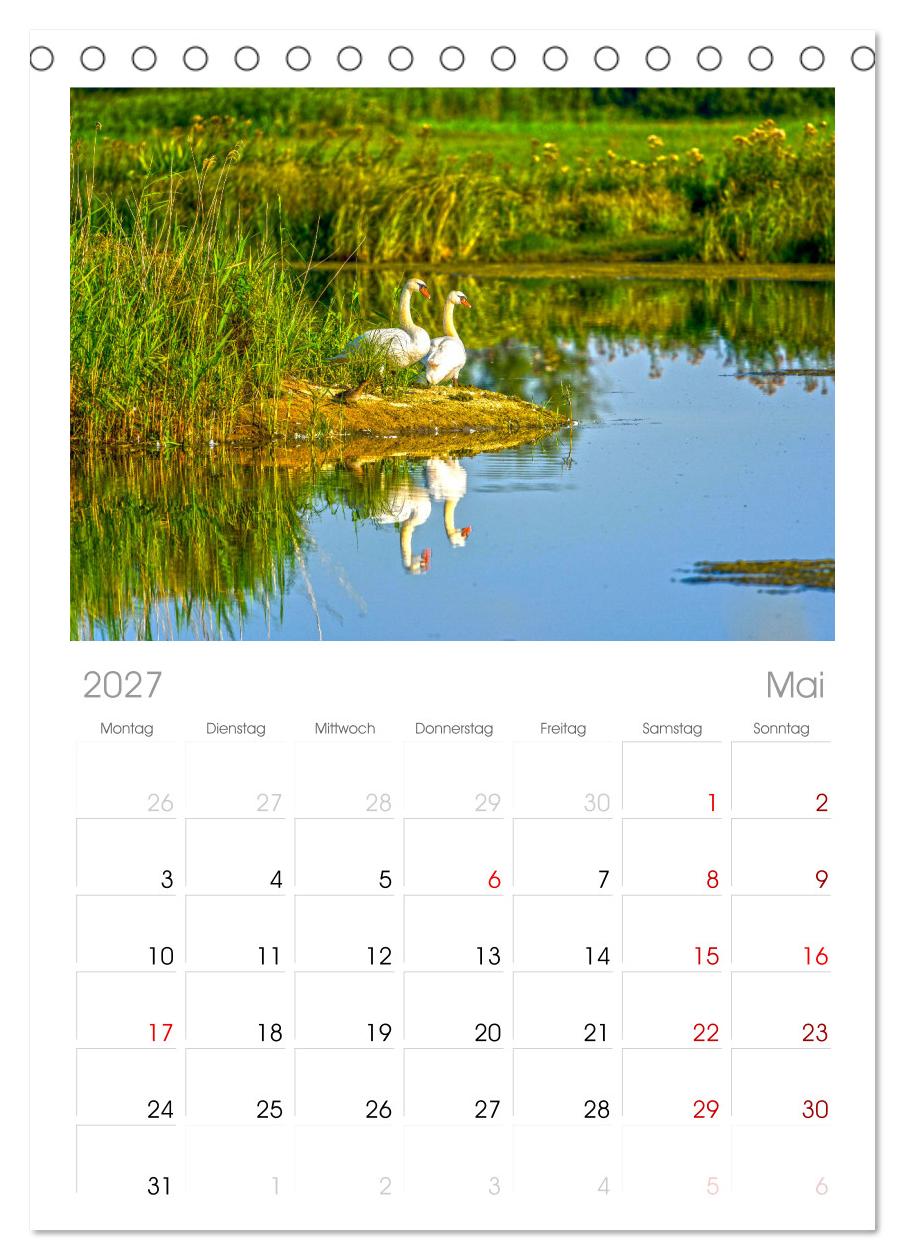Spreewald Natur und Kulturlandschaft