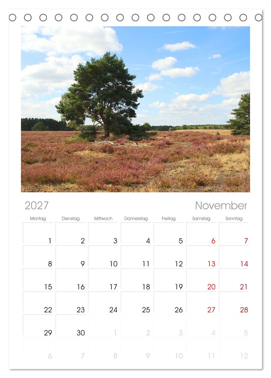 Die Nemitzer Heide - Im Wendland unterwegs