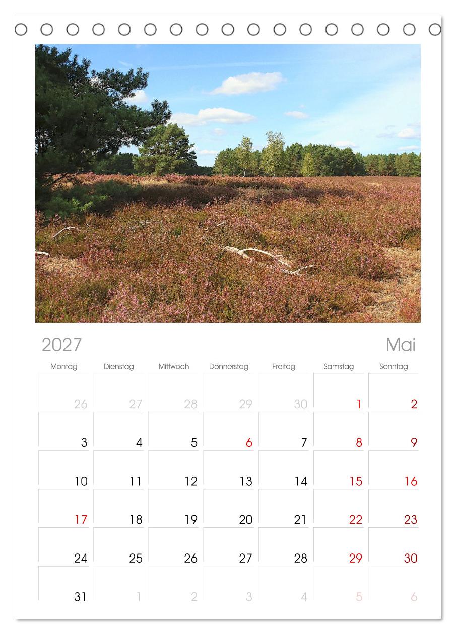 Die Nemitzer Heide - Im Wendland unterwegs