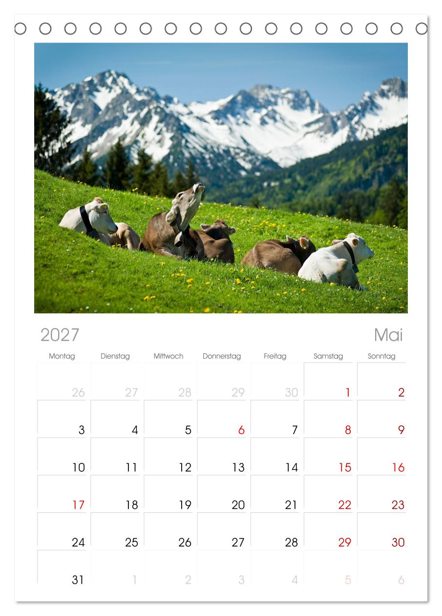 Traumhaftes Allgäu