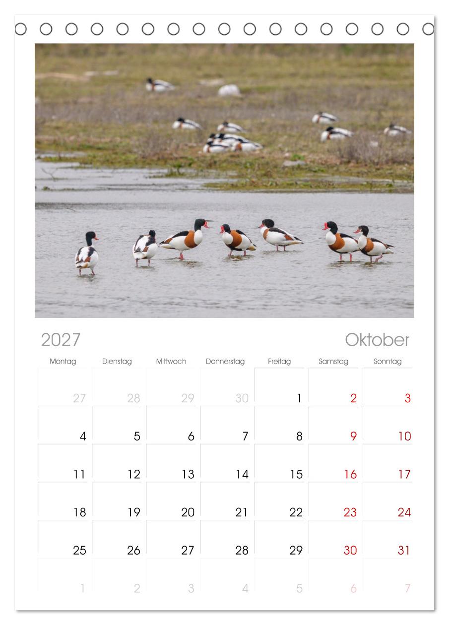 Gans schön wild