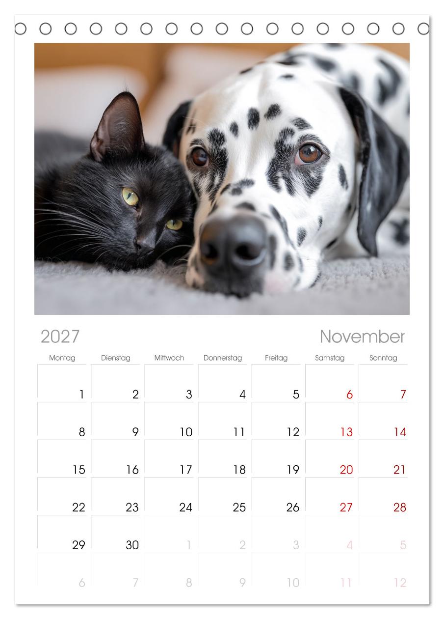 Hund und Katze - Tierische Freunde