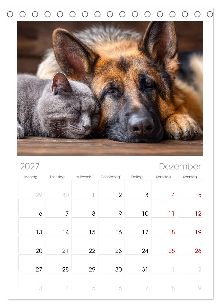 Hund und Katze - Tierische Freunde